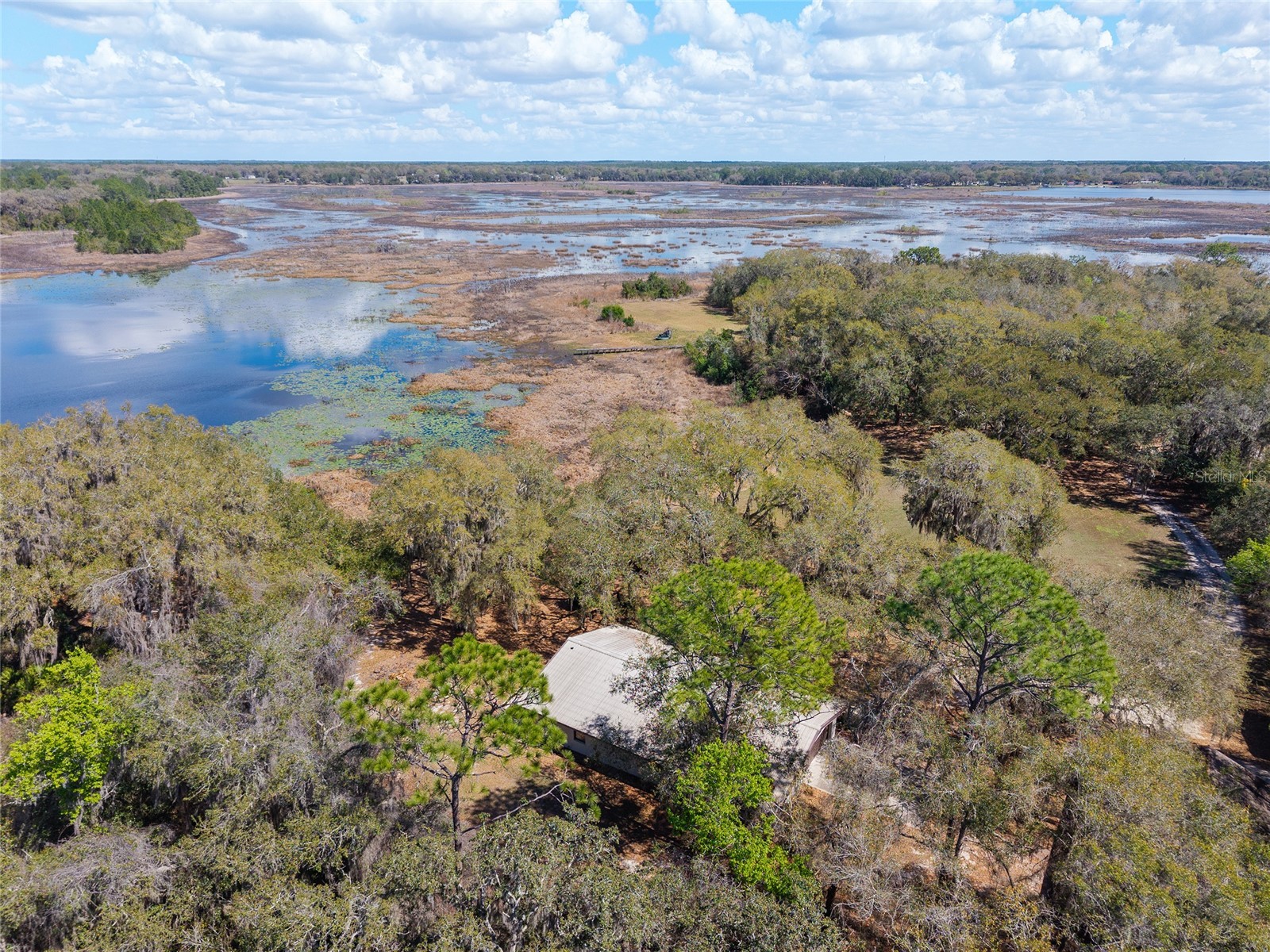 11990 SE 112th Avenue Road Belleview FL 34420 - LAKE BOWERS OM720274 image4