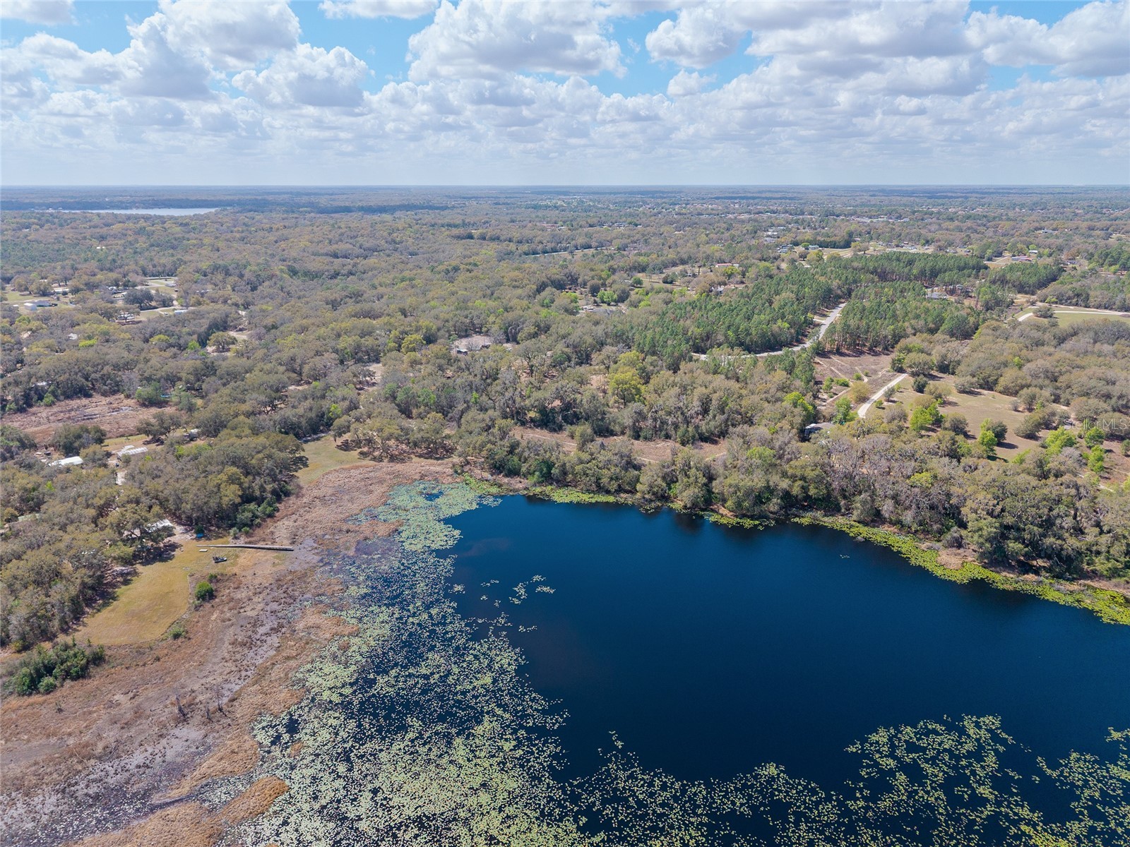 11990 SE 112th Avenue Road Belleview FL 34420 - LAKE BOWERS OM720274 image5