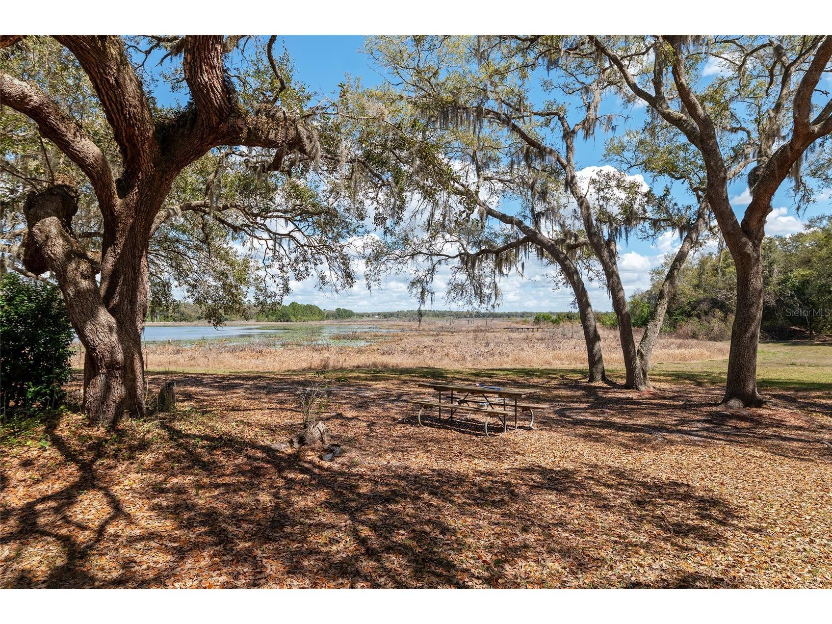 11990 SE 112th Avenue Road Belleview FL 34420 - LAKE BOWERS OM720274 image57