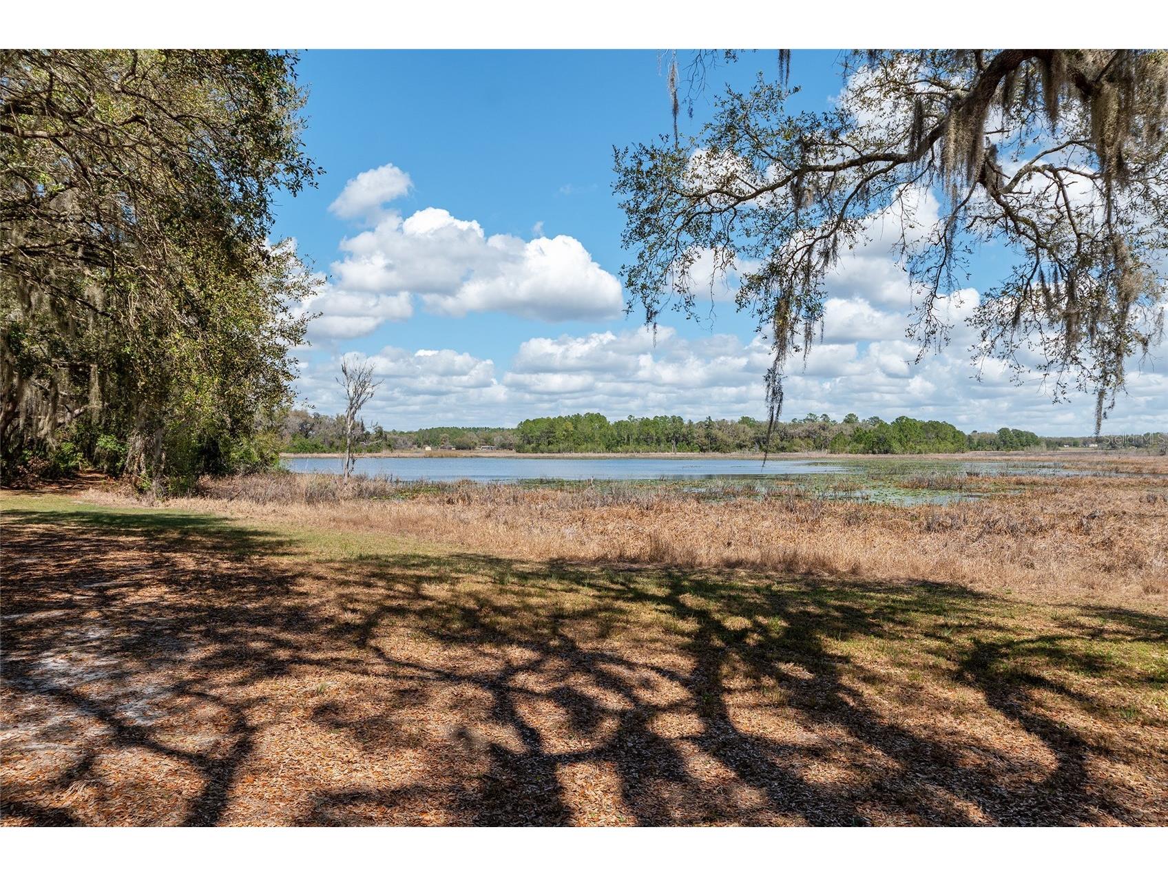 11990 SE 112th Avenue Road Belleview FL 34420 - LAKE BOWERS OM720274 image58