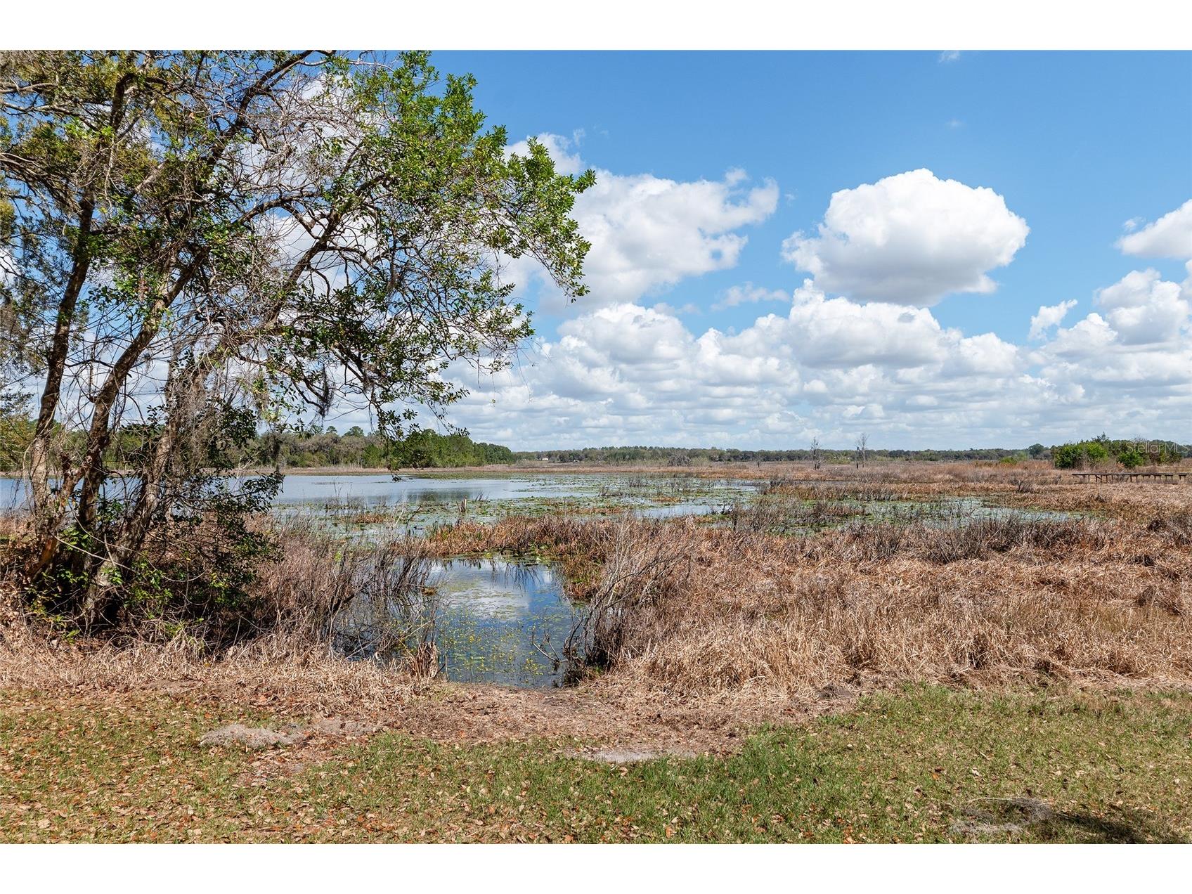 11990 SE 112th Avenue Road Belleview FL 34420 - LAKE BOWERS OM720274 image60