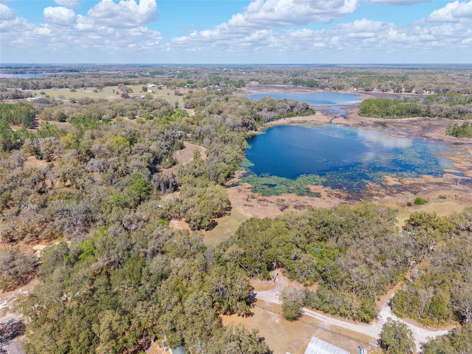 11990 SE 112th Avenue Road Belleview FL 34420 - LAKE BOWERS OM720274 image62