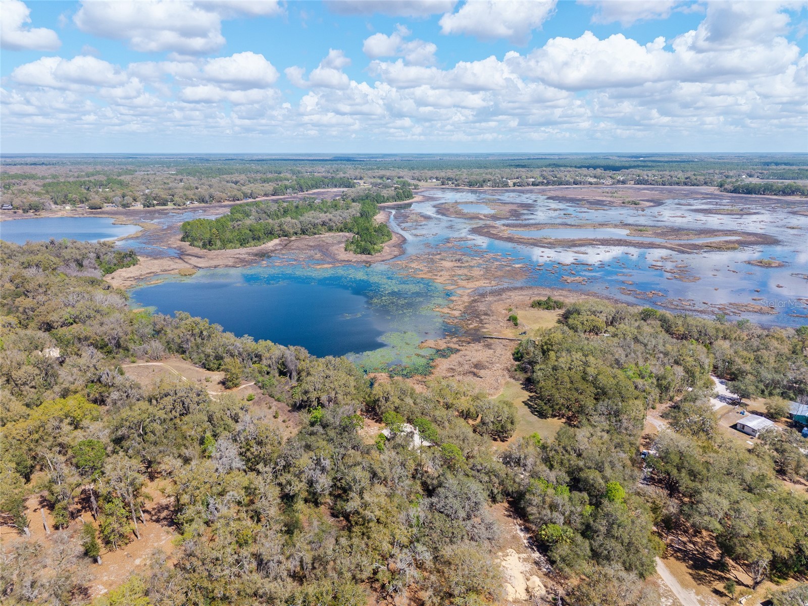 11990 SE 112th Avenue Road Belleview FL 34420 - LAKE BOWERS OM720274 image64