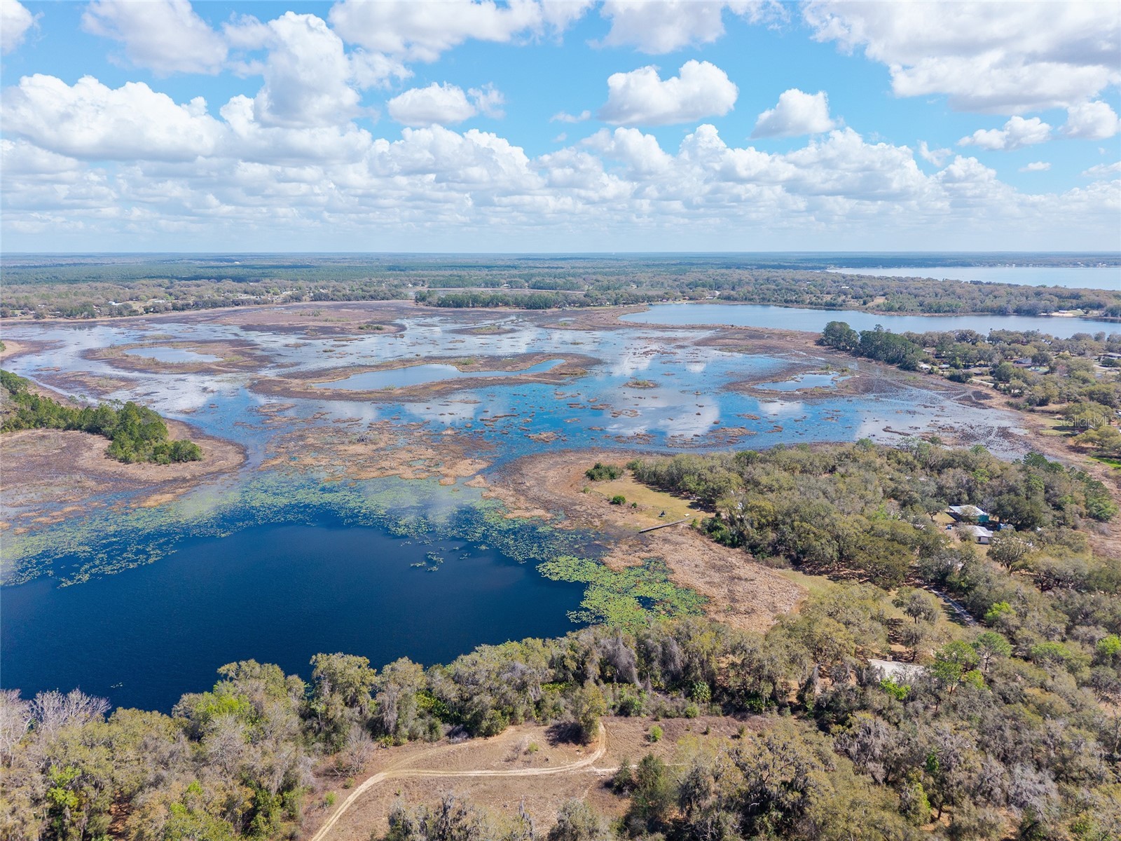 11990 SE 112th Avenue Road Belleview FL 34420 - LAKE BOWERS OM720274 image65