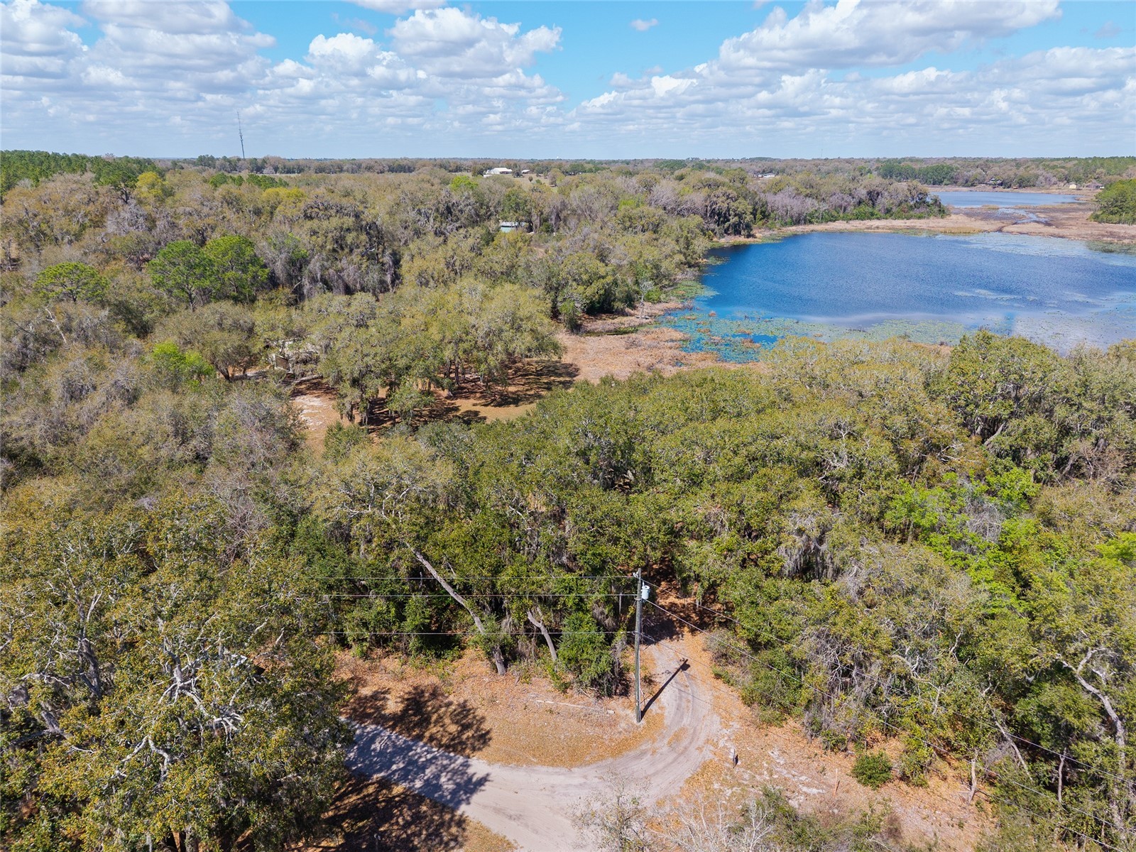 11990 SE 112th Avenue Road Belleview FL 34420 - LAKE BOWERS OM720274 image67