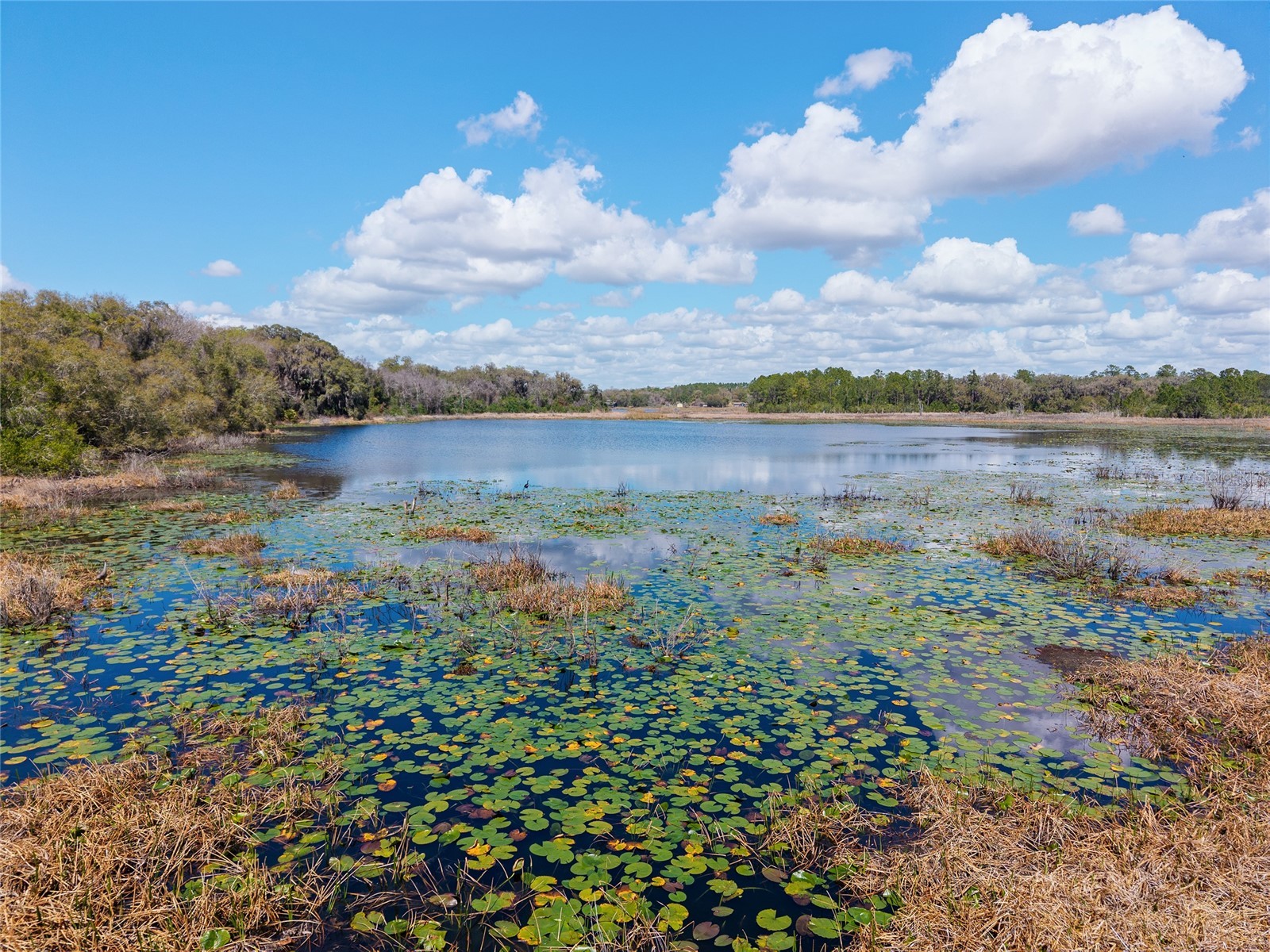 11990 SE 112th Avenue Road Belleview FL 34420 - LAKE BOWERS OM720274 image75