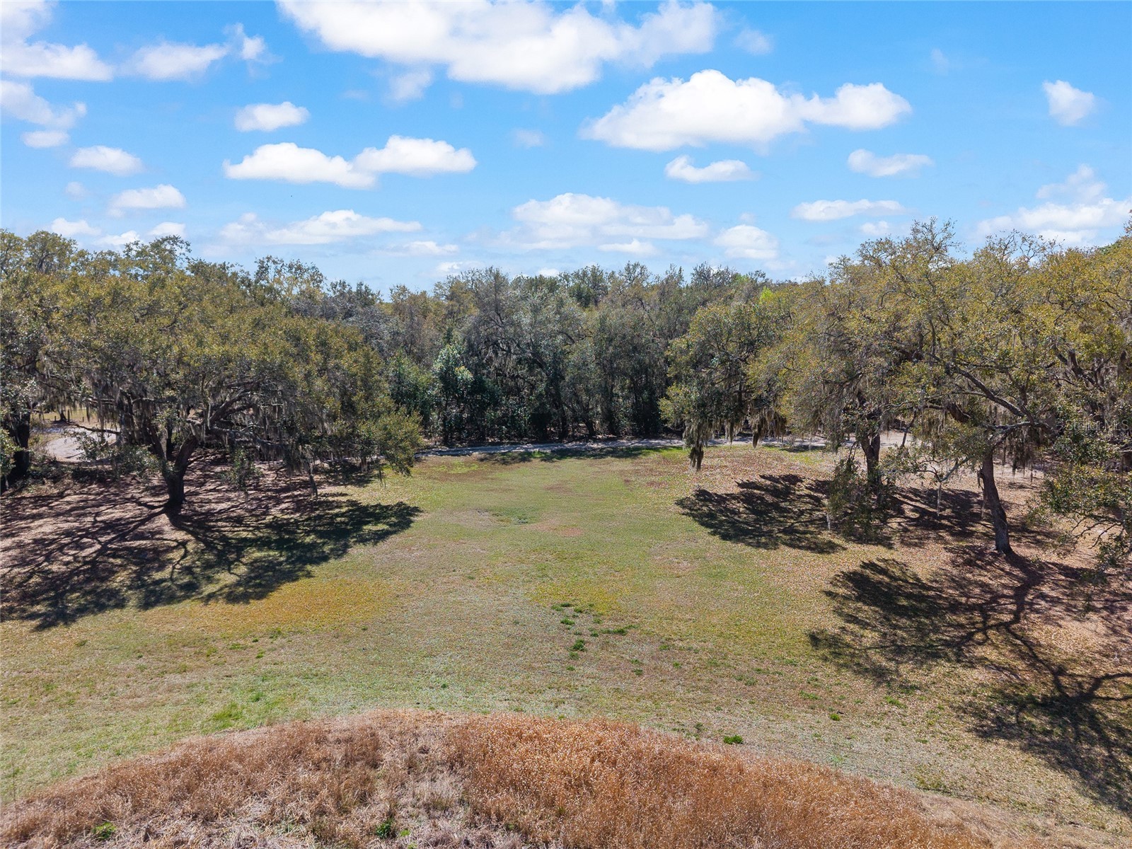 11990 SE 112th Avenue Road Belleview FL 34420 - LAKE BOWERS OM720274 image76