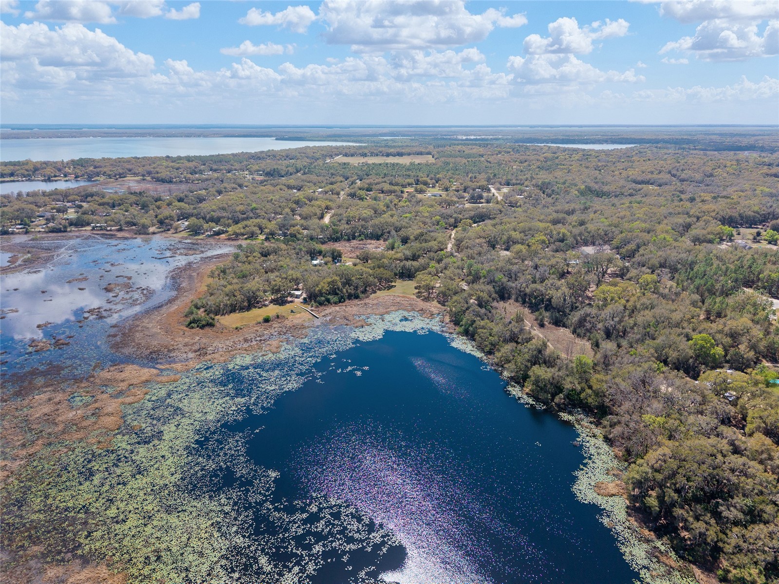 11990 SE 112th Avenue Road Belleview FL 34420 - LAKE BOWERS OM720274 image77