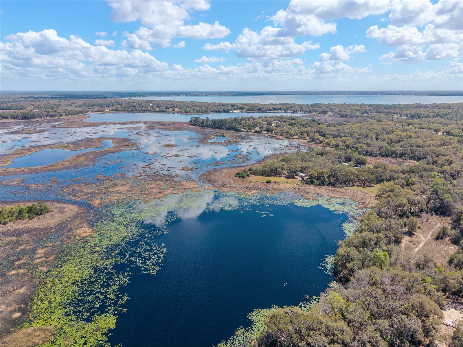 11990 SE 112th Avenue Road Belleview FL 34420 - LAKE BOWERS OM720274 image78