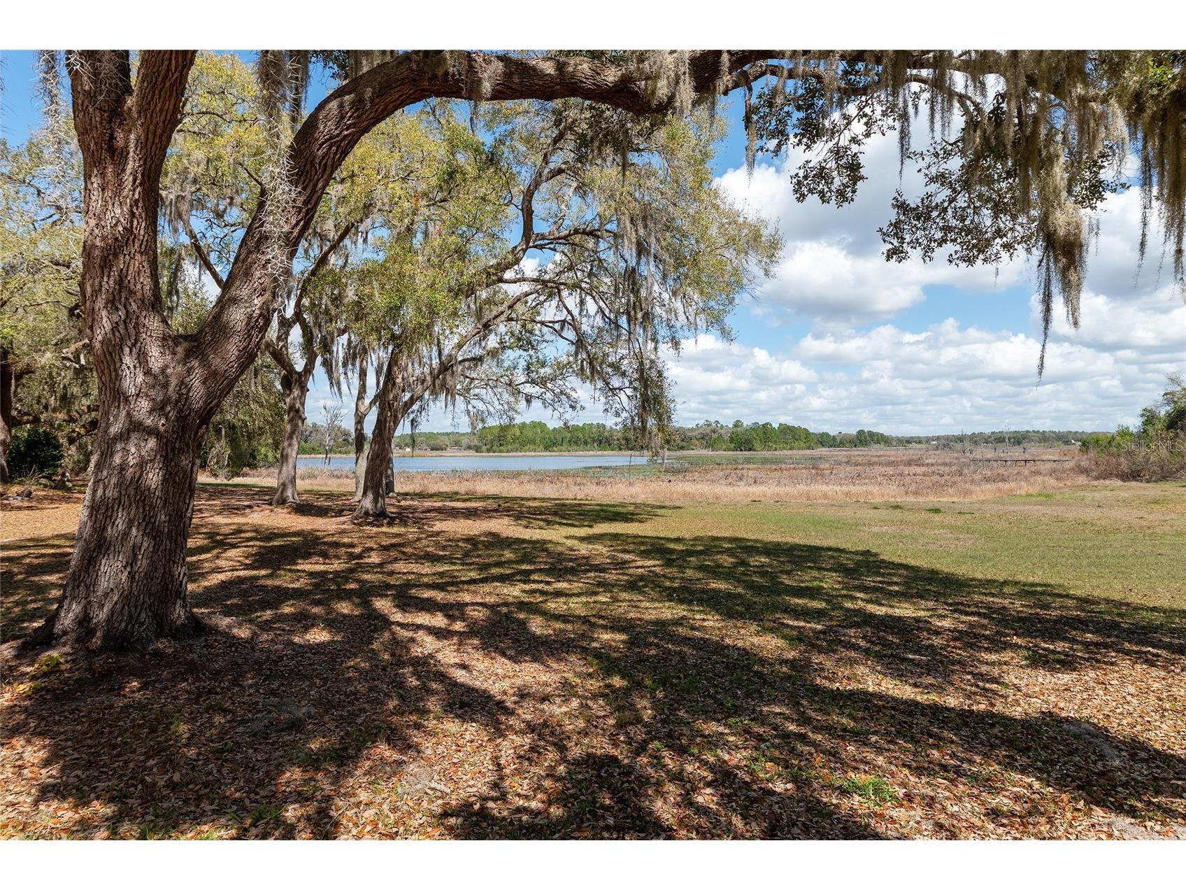 11990 SE 112th Avenue Road Belleview FL 34420 - LAKE BOWERS OM720274 image8