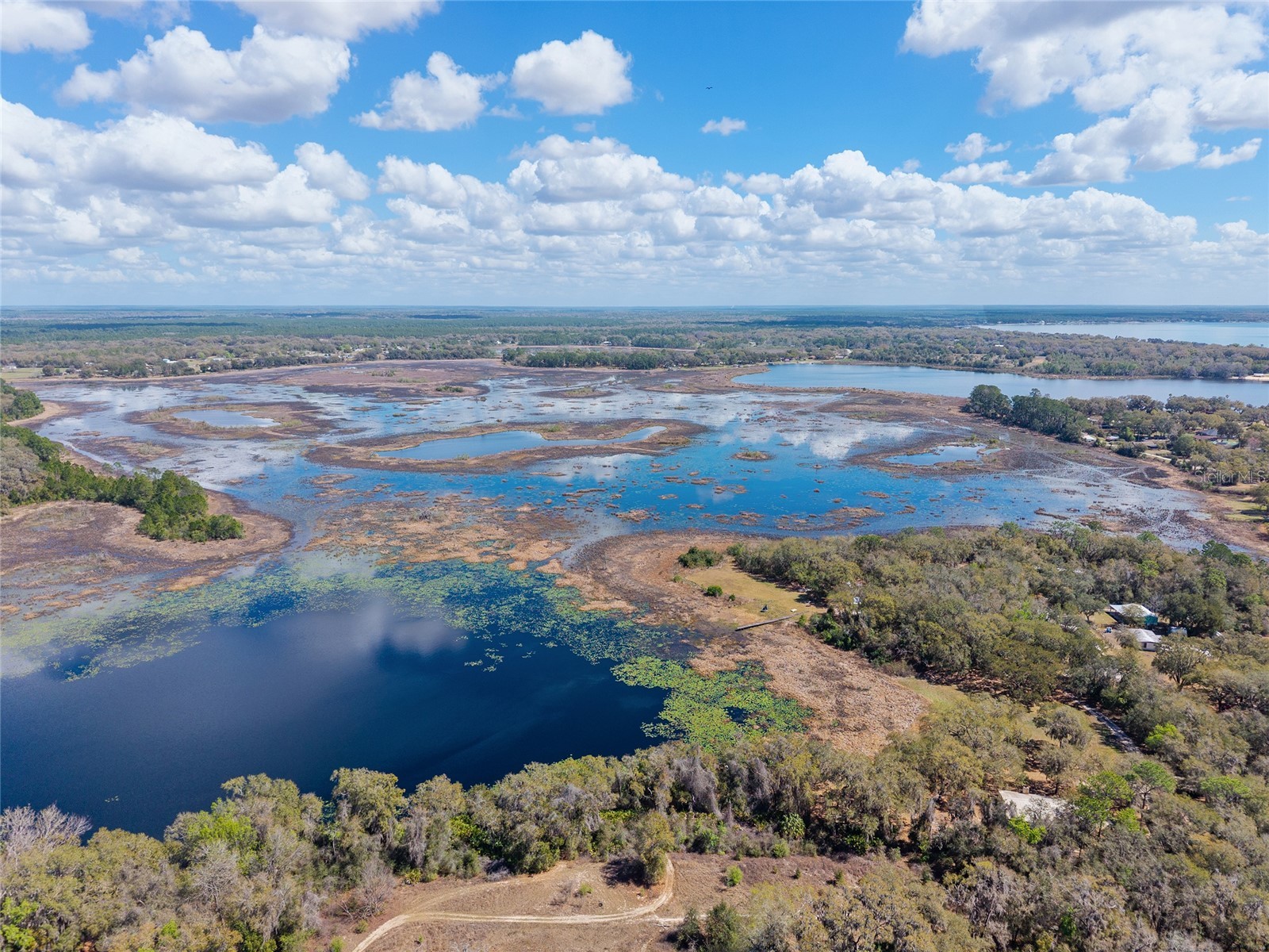 11990 SE 112th Avenue Road Belleview FL 34420 - LAKE BOWERS OM720274 image81