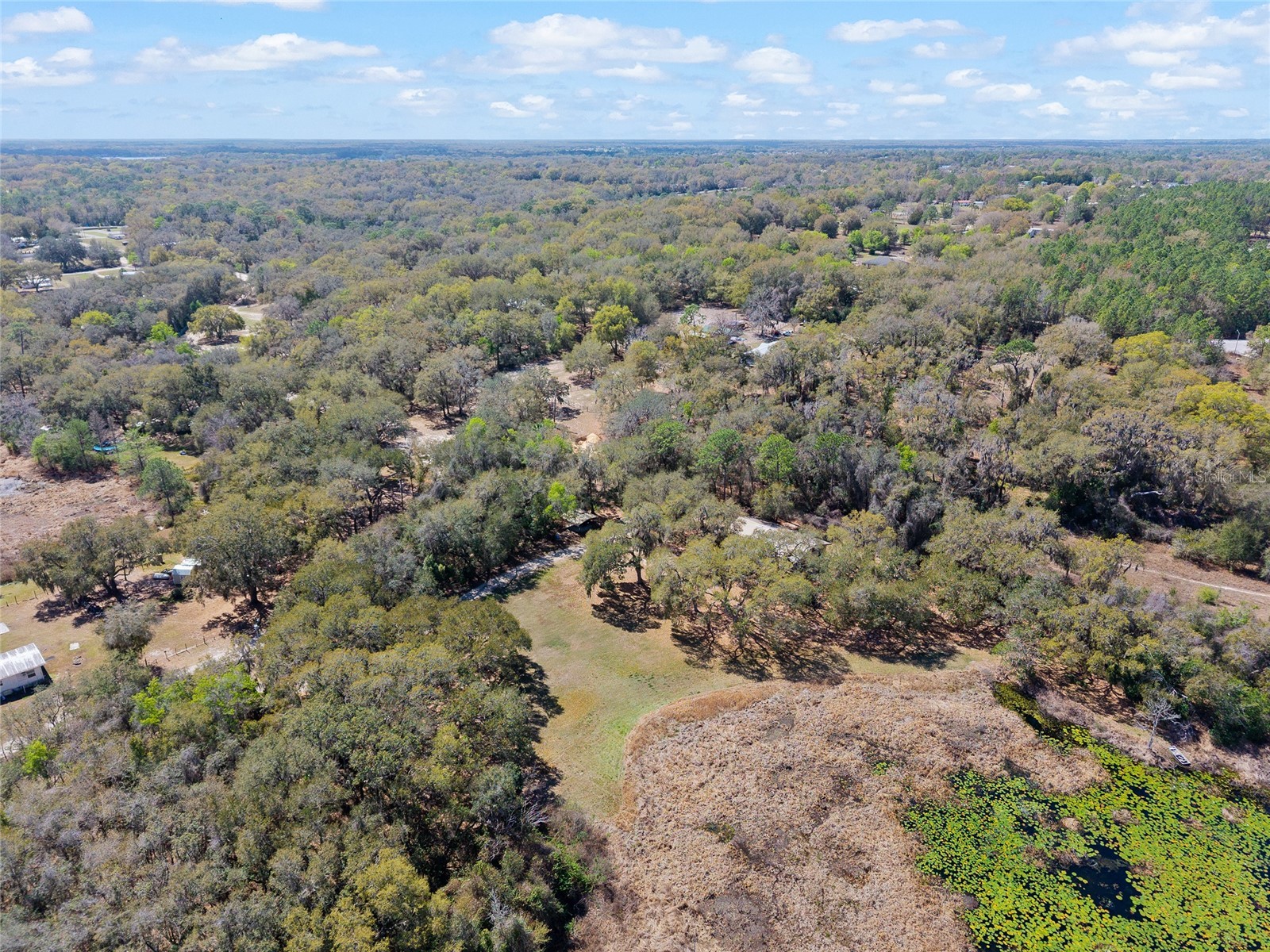 11990 SE 112th Avenue Road Belleview FL 34420 - LAKE BOWERS OM720274 image82