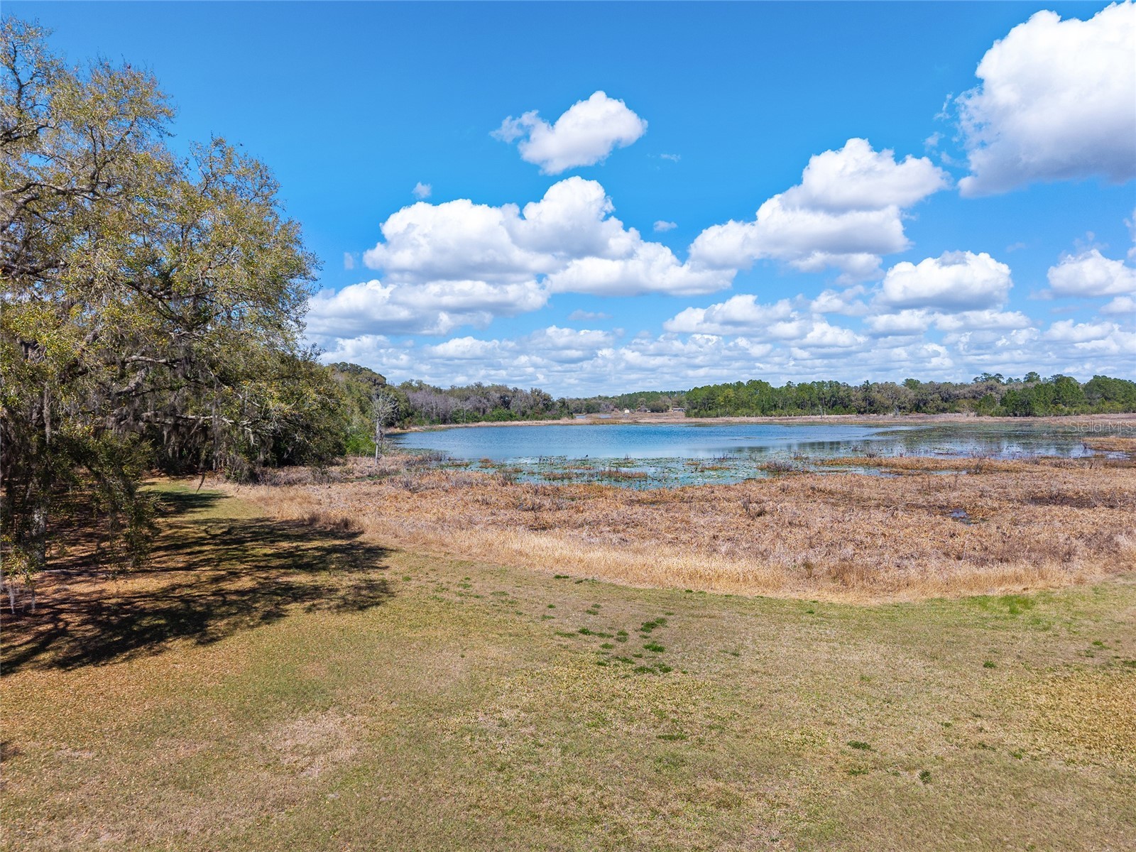 11990 SE 112th Avenue Road Belleview FL 34420 - LAKE BOWERS OM720274 image84