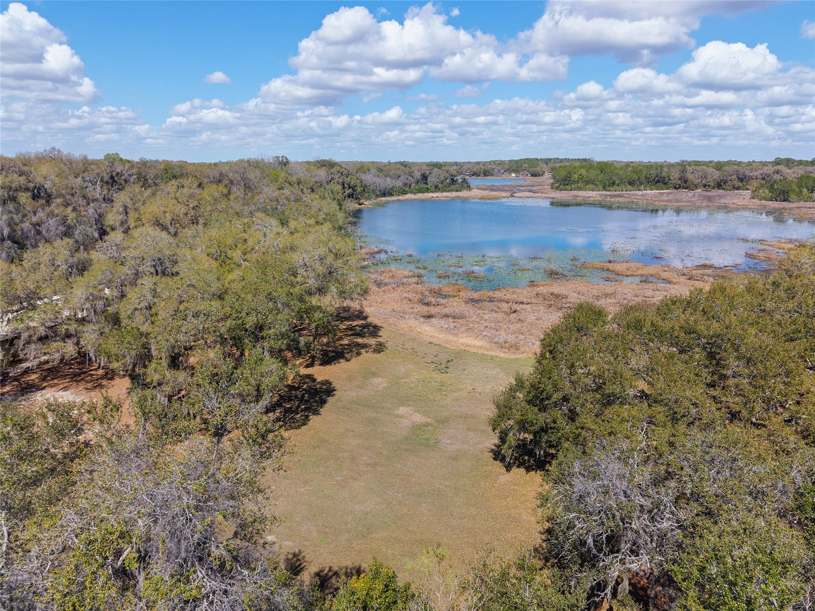 11990 SE 112th Avenue Road Belleview FL 34420 - LAKE BOWERS OM720274 image85