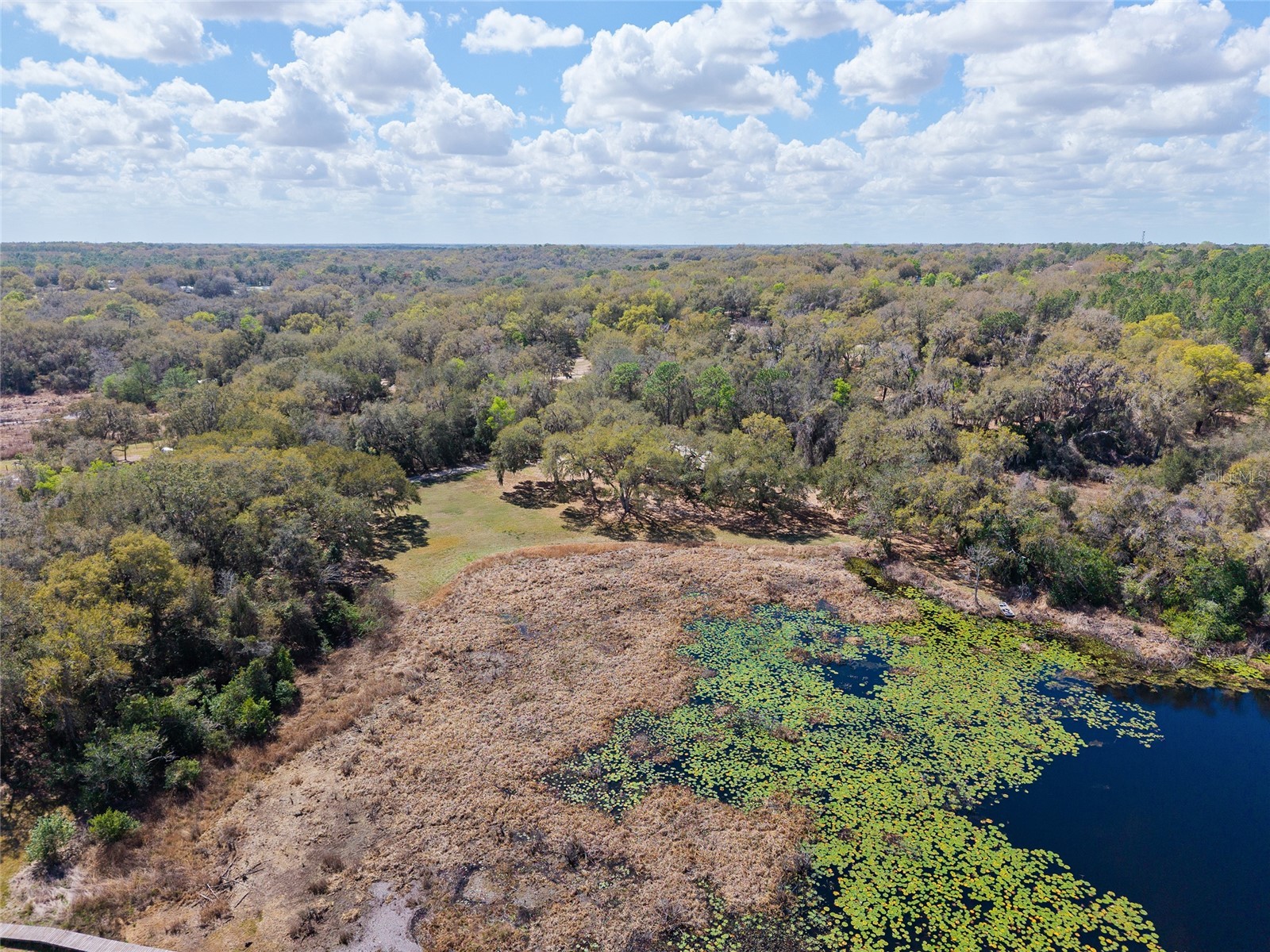 11990 SE 112th Avenue Road Belleview FL 34420 - LAKE BOWERS OM720274 image87