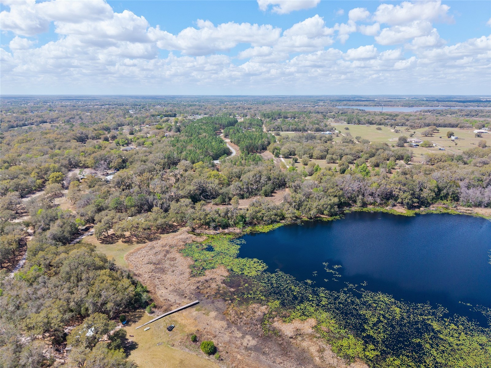 11990 SE 112th Avenue Road Belleview FL 34420 - LAKE BOWERS OM720274 image88