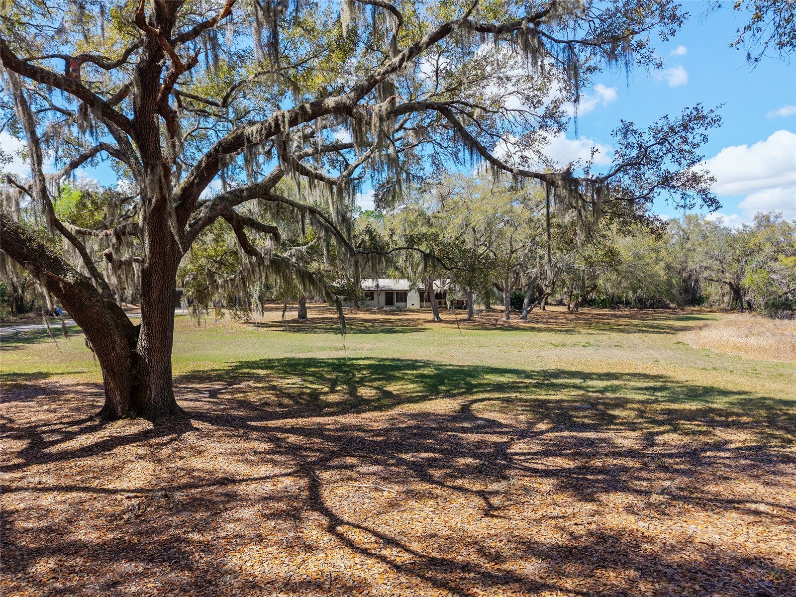 11990 SE 112th Avenue Road Belleview FL 34420 - LAKE BOWERS OM720274 image90