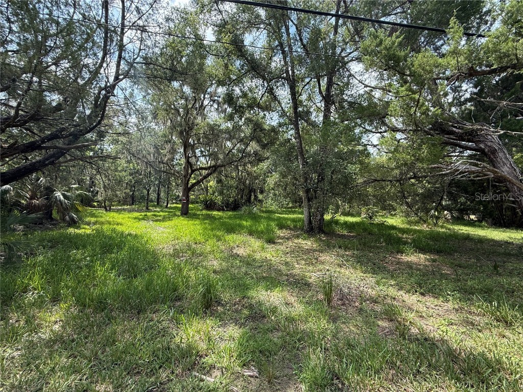 11990 W Eldred Lane Homosassa FL 34448 OM708001 image1