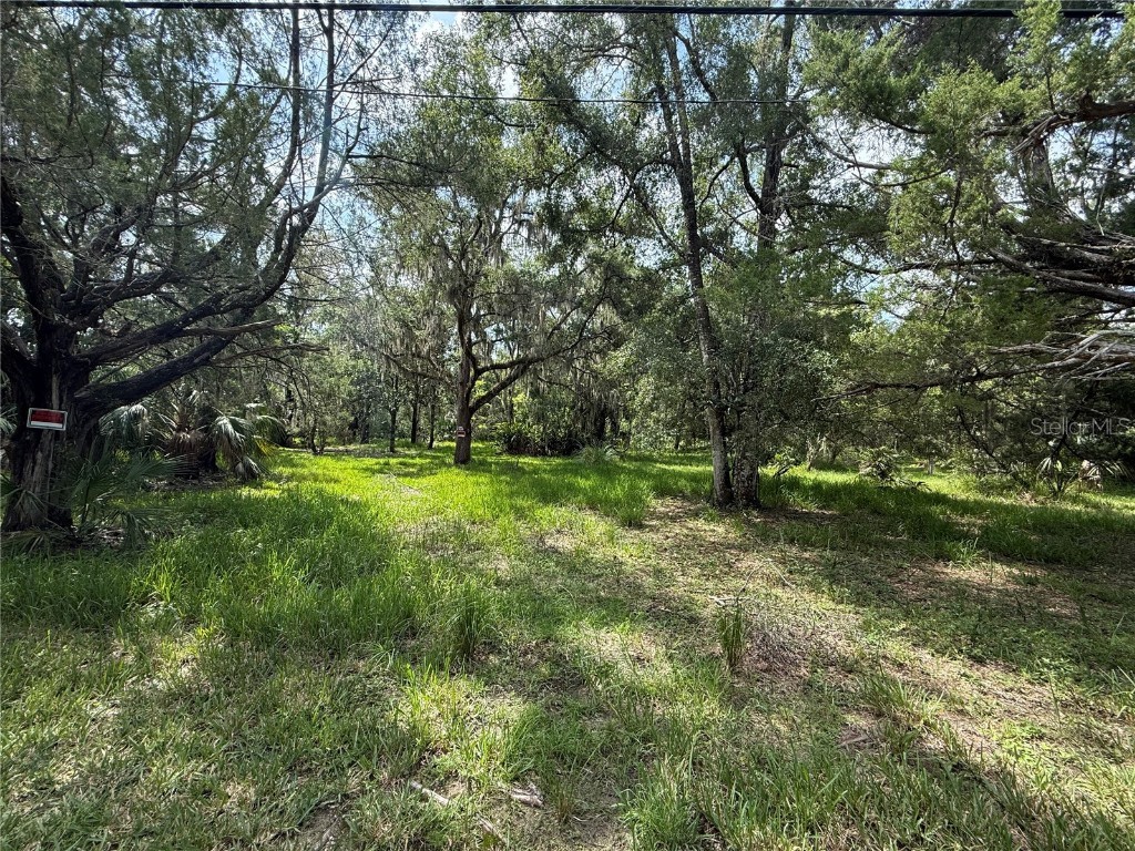 11990 W Eldred Lane Homosassa FL 34448 OM708001 image2