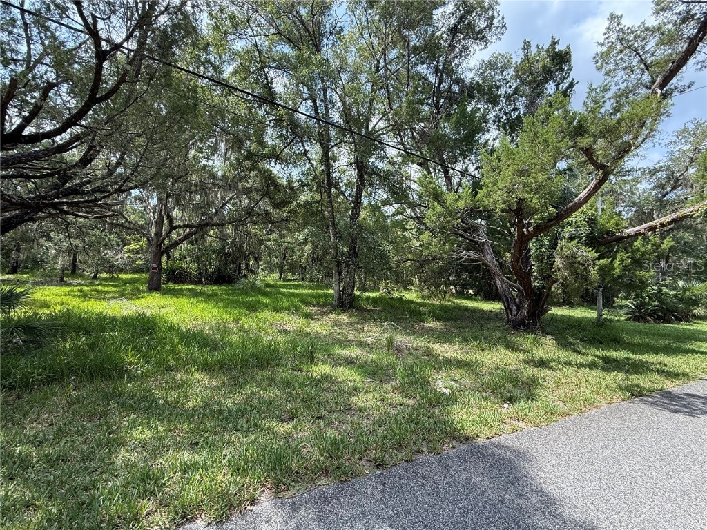 11990 W Eldred Lane Homosassa FL 34448 OM708001 image3