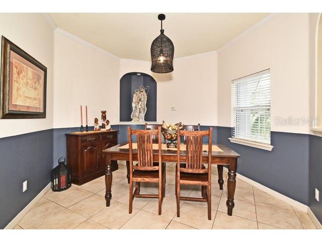 11994 Mckinnon Road Windermere FL 34786 O6416526 image17