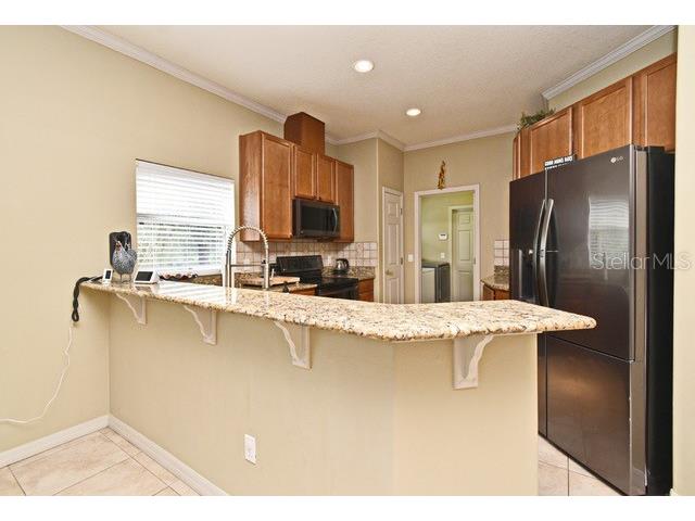 11994 Mckinnon Road Windermere FL 34786 O6416526 image18