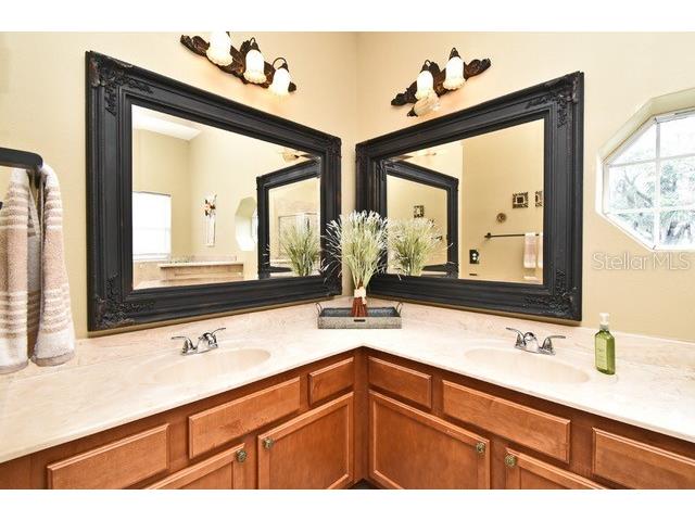 11994 Mckinnon Road Windermere FL 34786 O6416526 image27