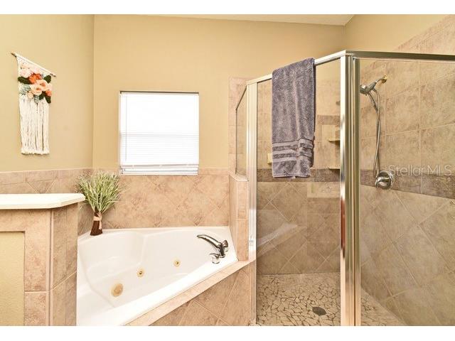 11994 Mckinnon Road Windermere FL 34786 O6416526 image28