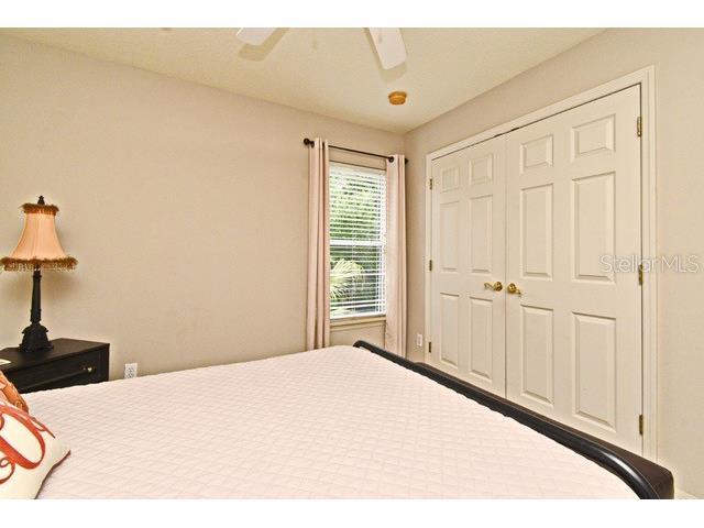 11994 Mckinnon Road Windermere FL 34786 O6416526 image37
