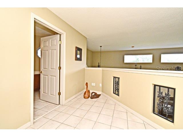 11994 Mckinnon Road Windermere FL 34786 O6416526 image38