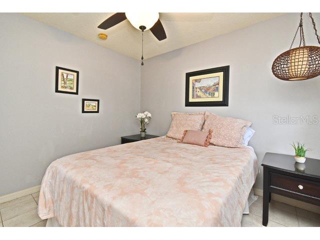 11994 Mckinnon Road Windermere FL 34786 O6416526 image41