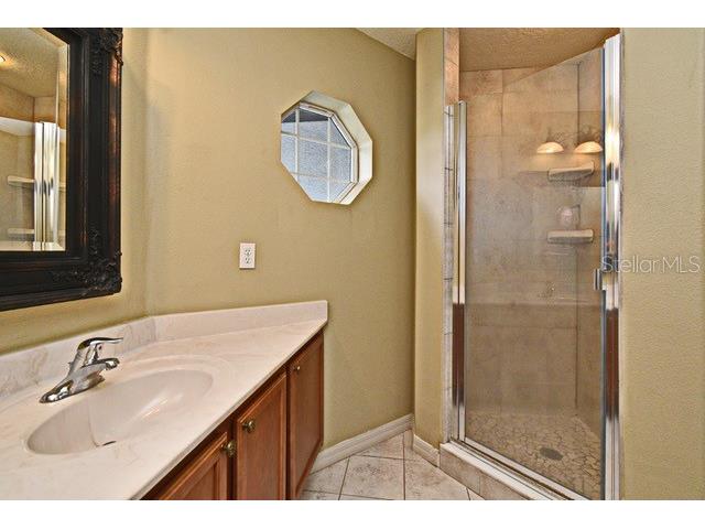 11994 Mckinnon Road Windermere FL 34786 O6416526 image42