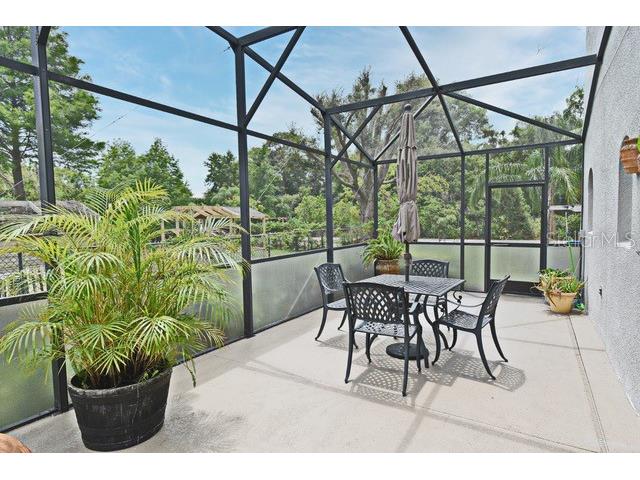 11994 Mckinnon Road Windermere FL 34786 O6416526 image48