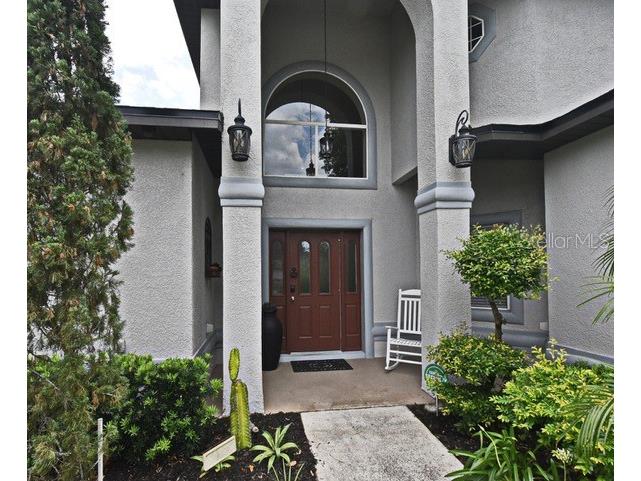 11994 Mckinnon Road Windermere FL 34786 O6416526 image5