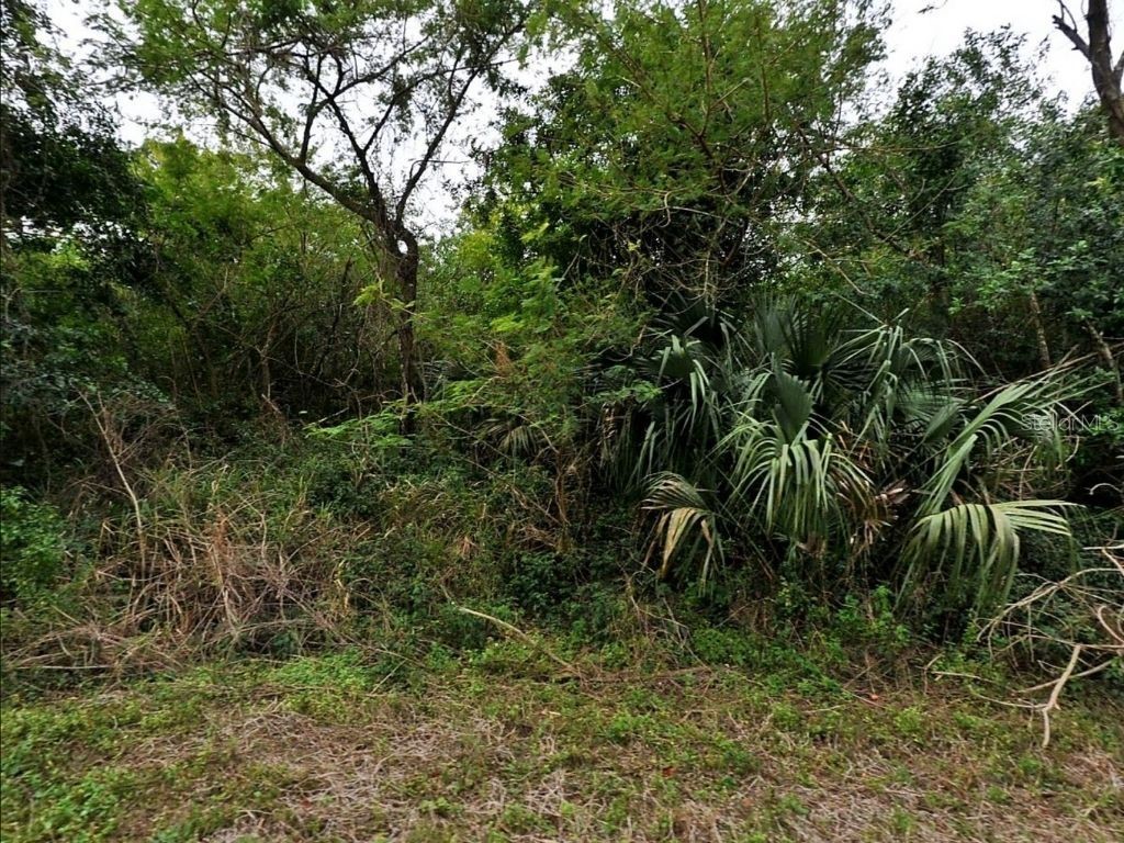 12 + 13 Caesar North Port FL 34288 S5140027 image3