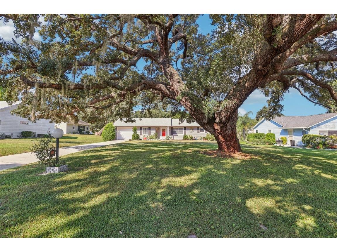 12 Brigadoon Circle Leesburg FL 34788 G5102388 image3