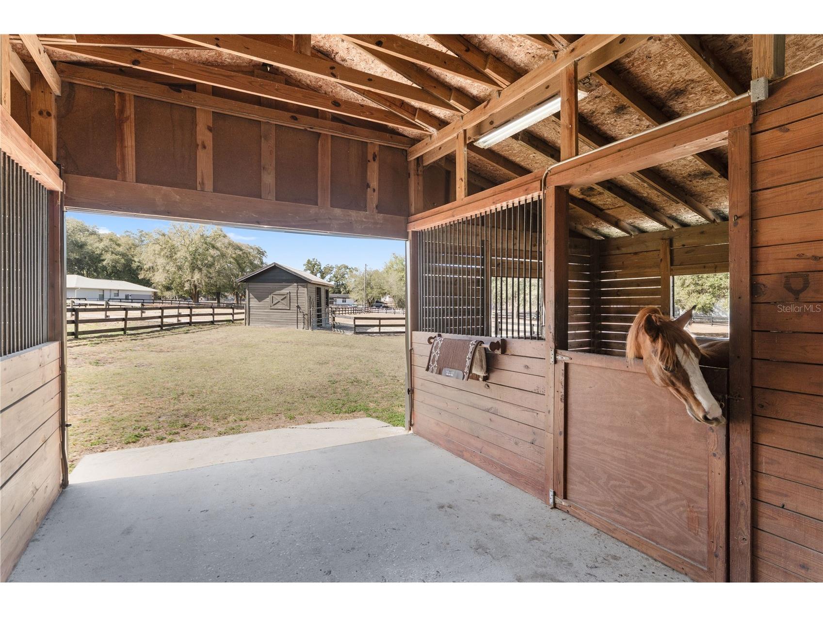 12 Carry Back Road Ocala FL 34482 OM719143 image59