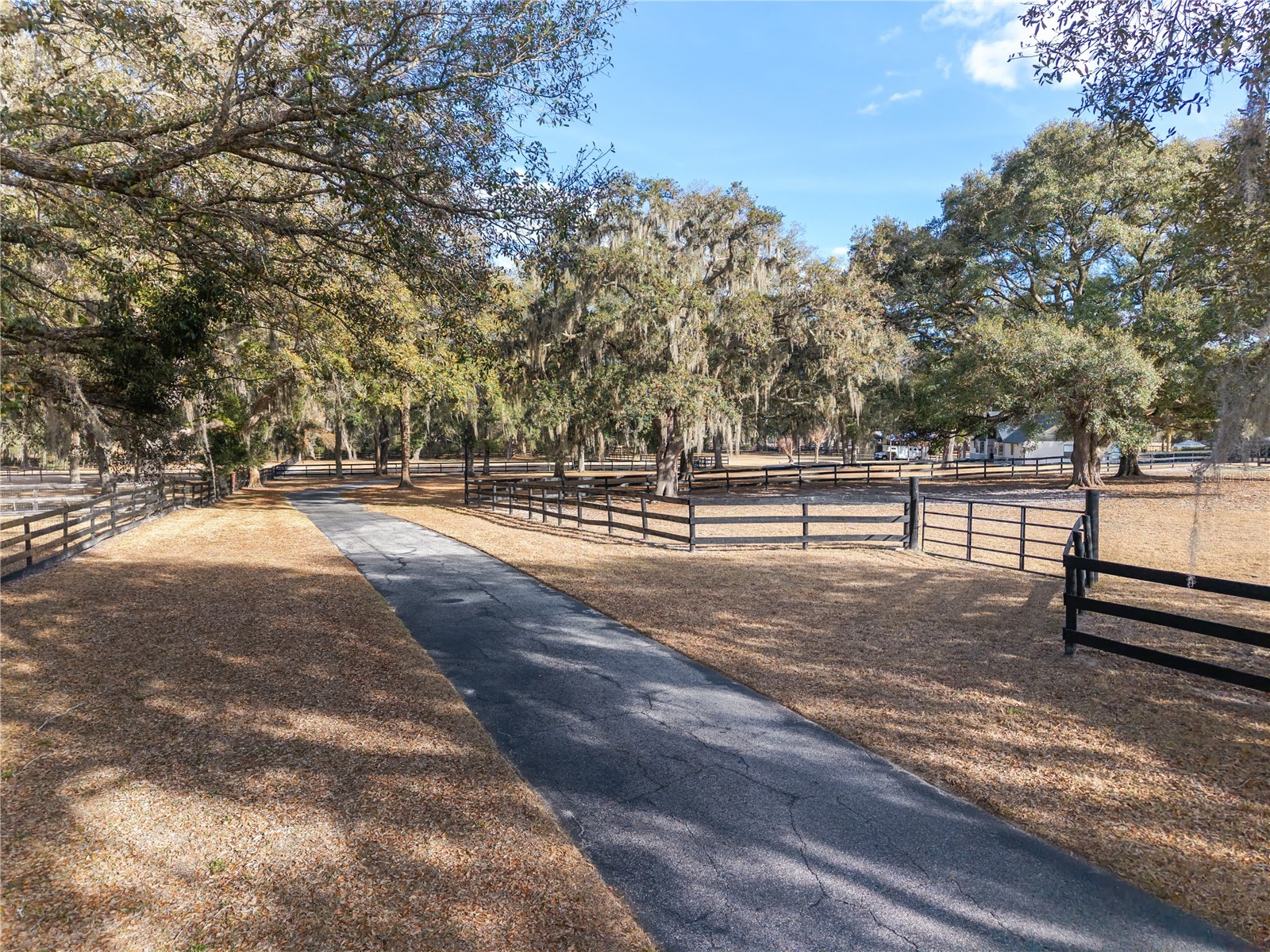 12 Carry Back Road Ocala FL 34482 OM719143 image73