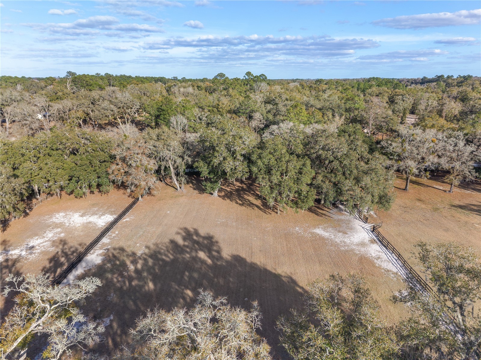 12 Carry Back Road Ocala FL 34482 OM719143 image81