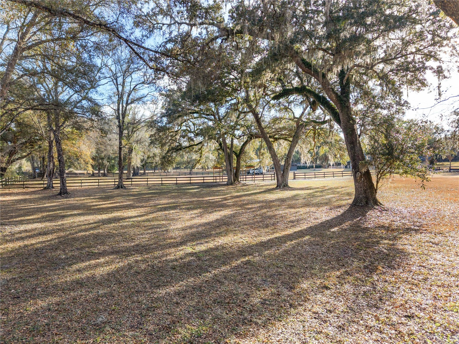 12 Carry Back Road Ocala FL 34482 OM719143 image82