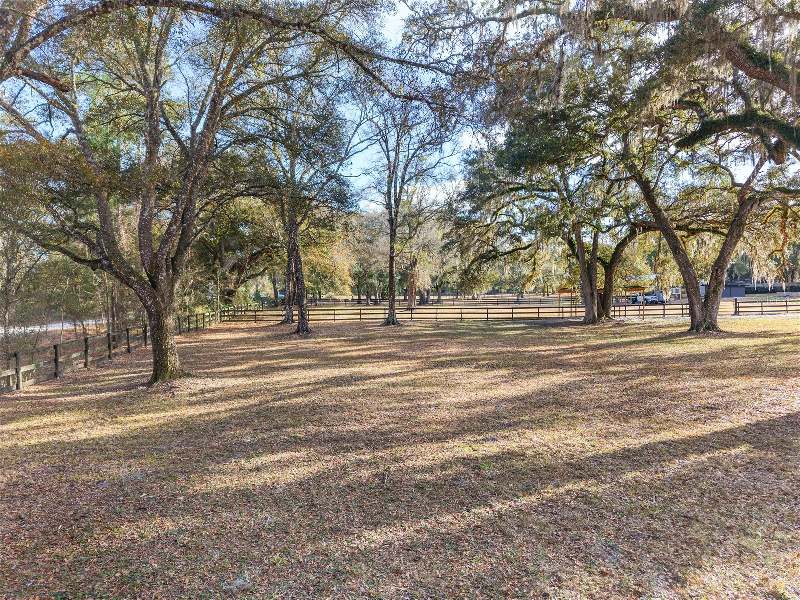 12 Carry Back Road Ocala FL 34482 OM719143 image83