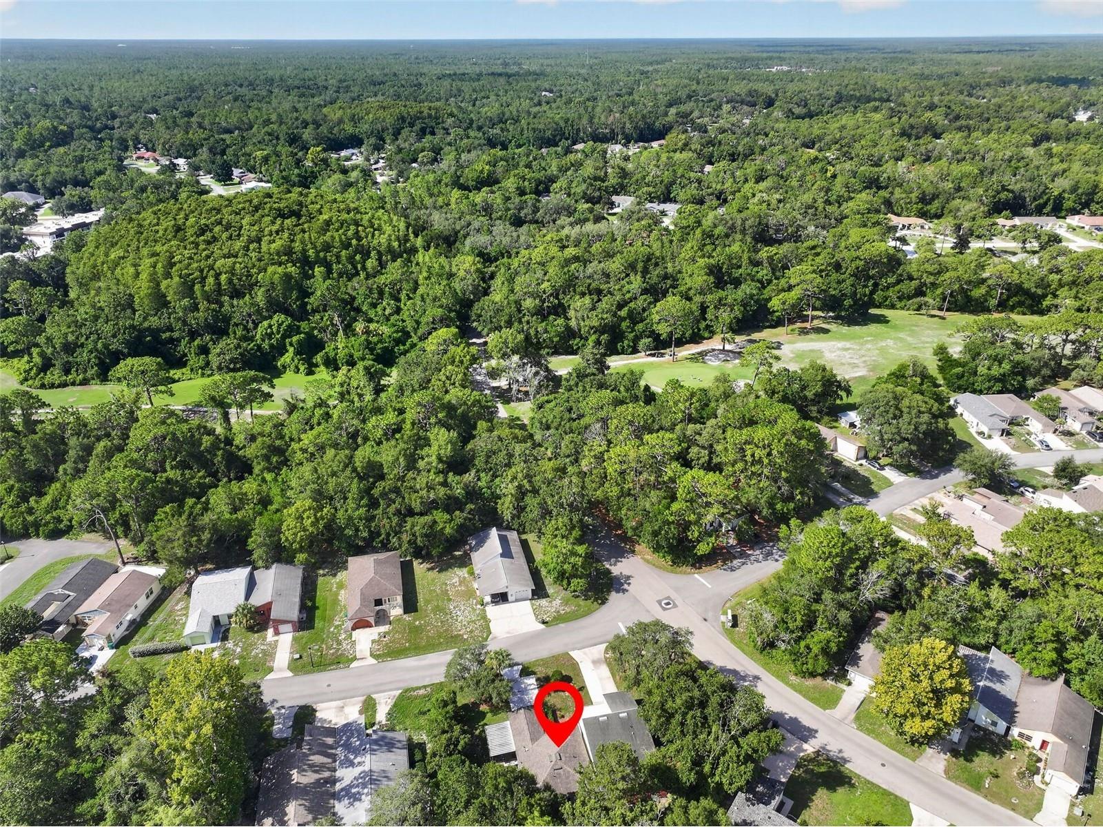 12 Chinaberry Circle Homosassa FL 34446 W7887953 image45