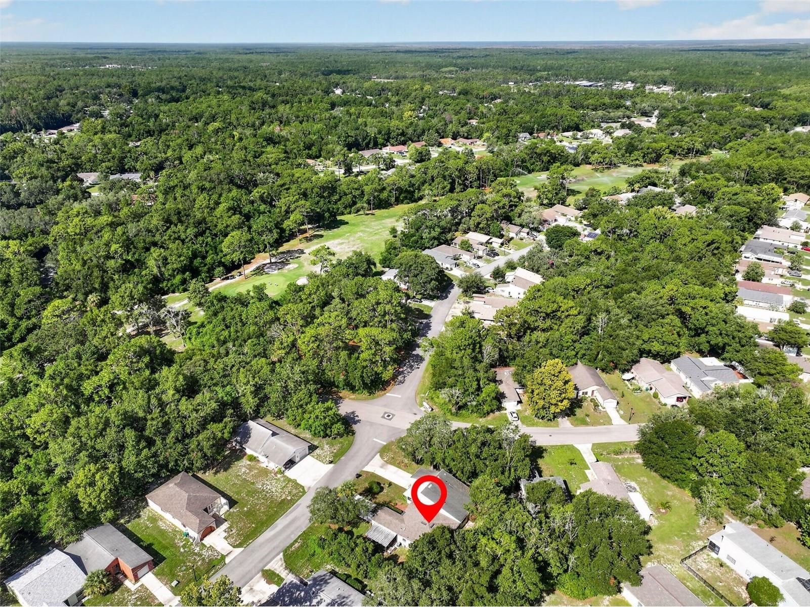 12 Chinaberry Circle Homosassa FL 34446 W7887953 image46