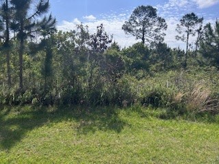 12 Desoto (Red Grange Blvd) Avenue Indian Lake Estates FL 33855 TB8499652 image1