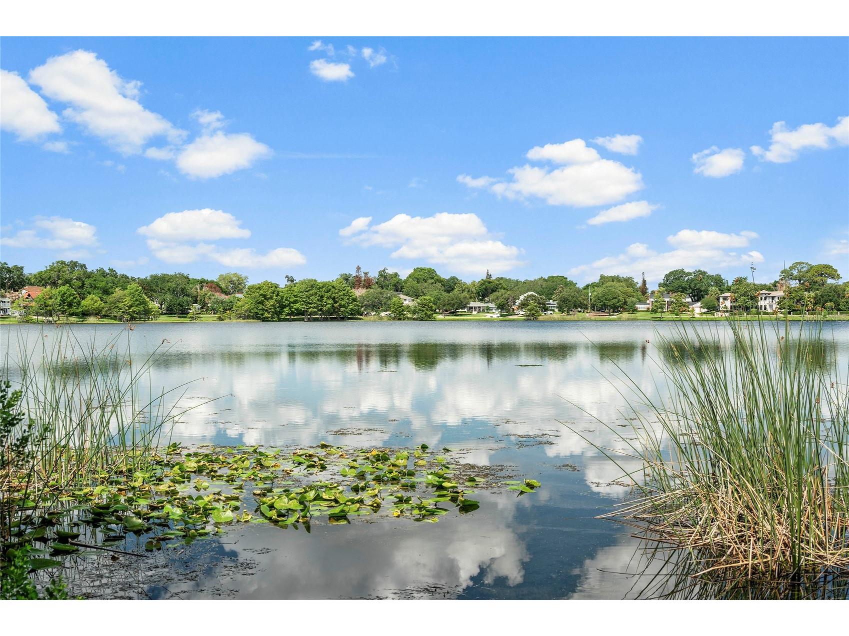 12 E Harvard Street Orlando FL 32804 O6408723 image35