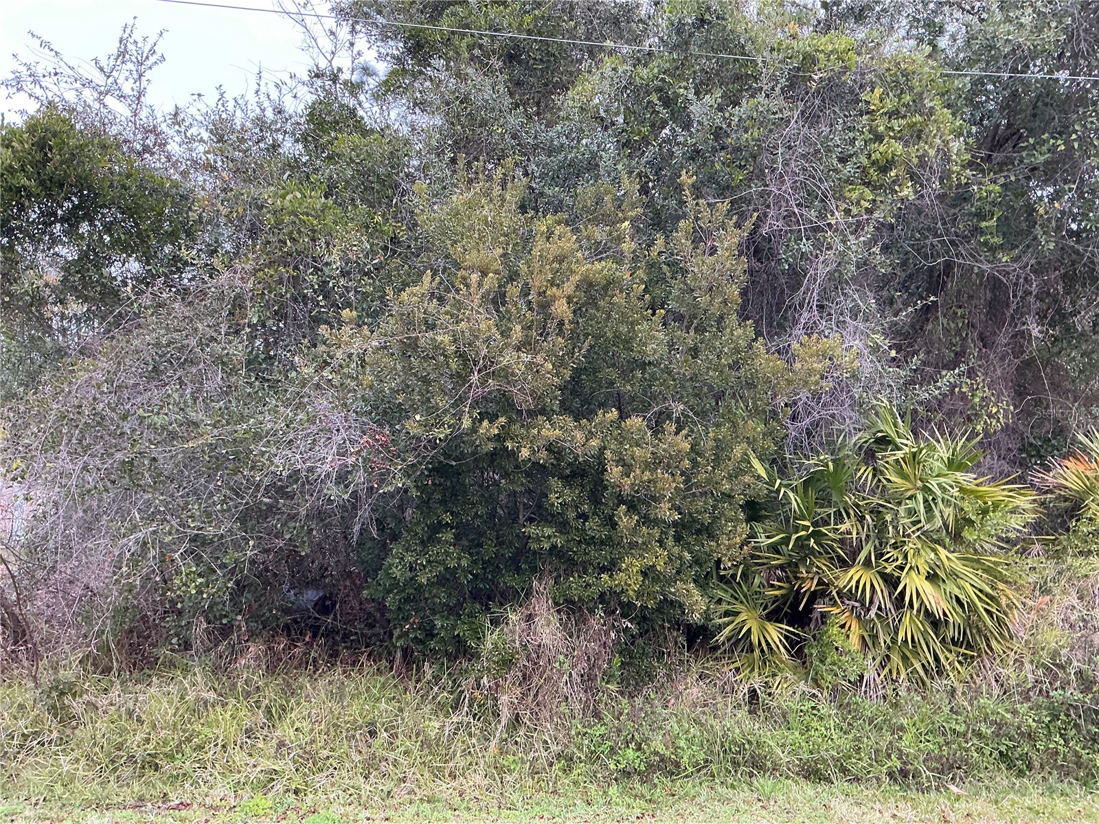 12 Fayy Lane Palm Coast FL 32137 OM722985 image1