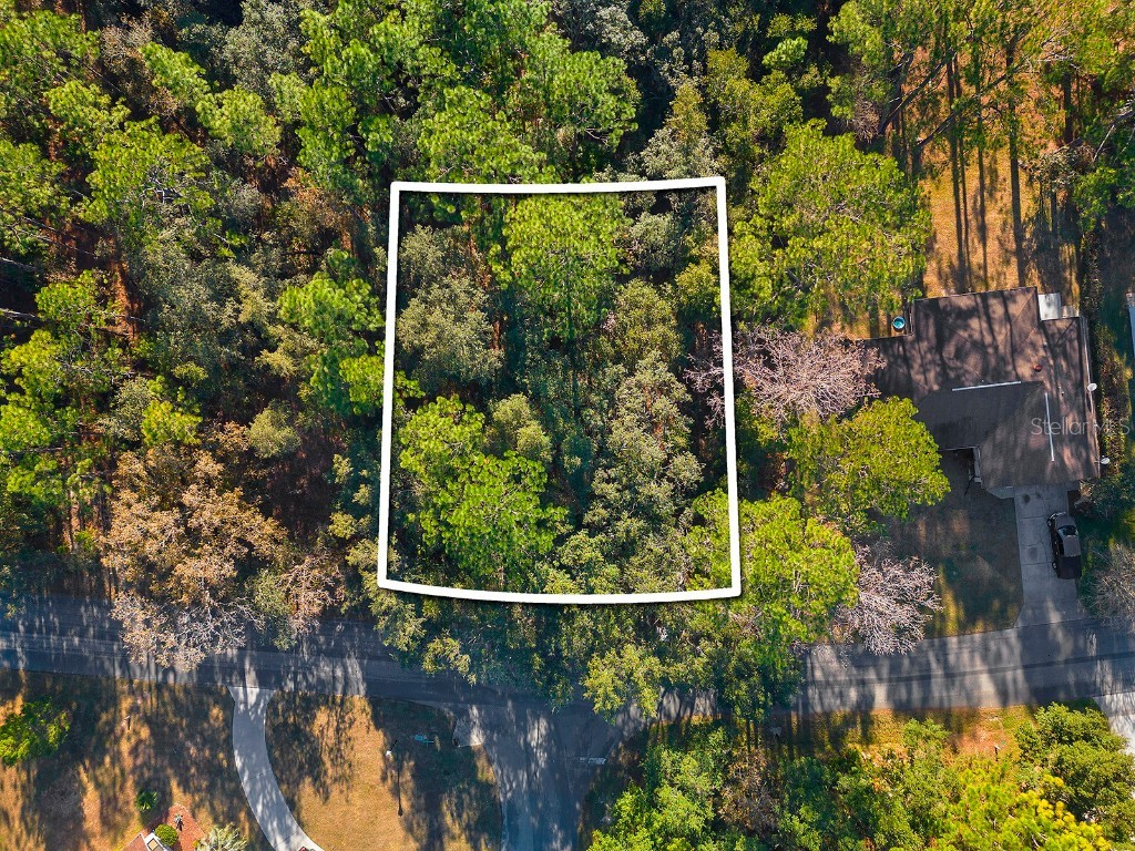 12 Hawthorne Court Homosassa FL 34446 W7855819 image1