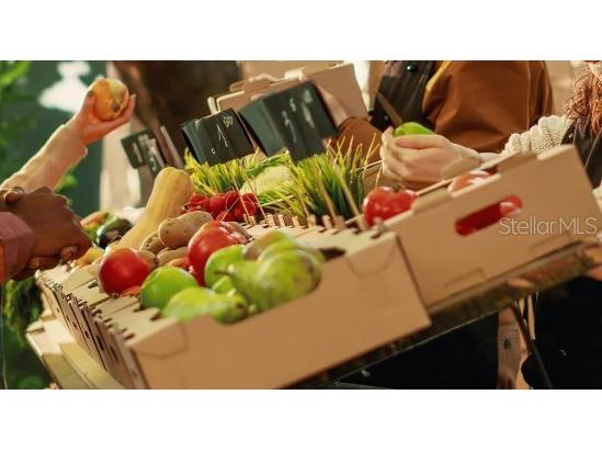 12 Hemlock Circle Ocala FL 34472 O6350207 image30