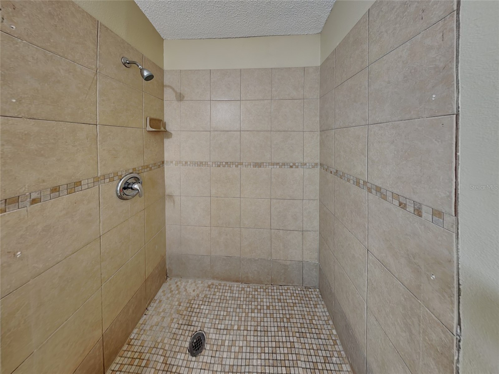 12 Herring Court Kissimmee FL 34759 TB8508493 image15