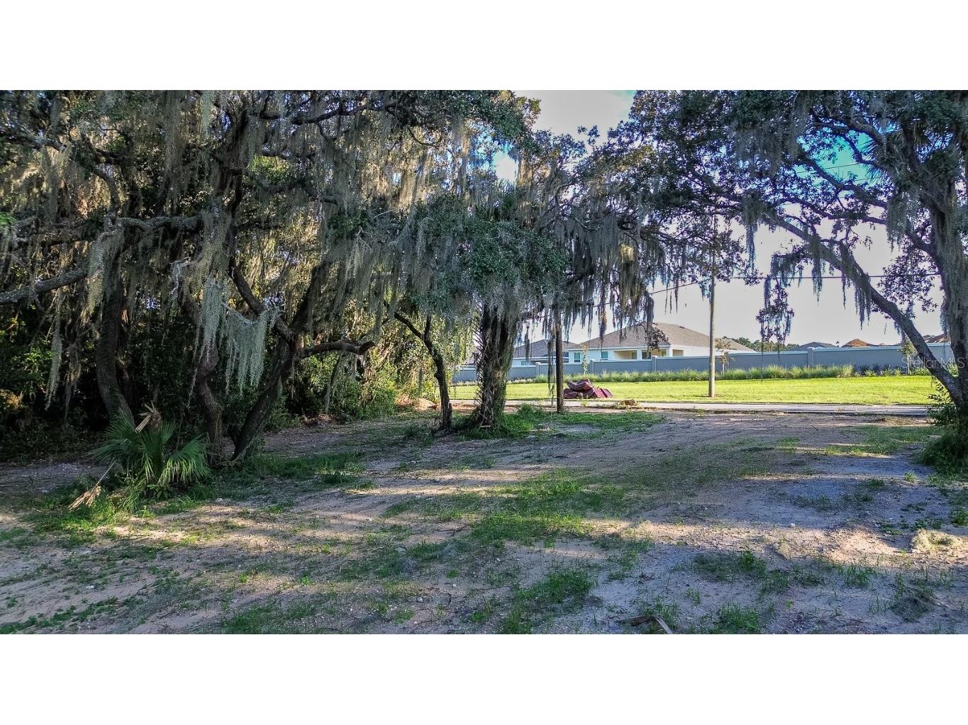 12 Holly Hill Drive Davenport FL 33837 P4932197 image11